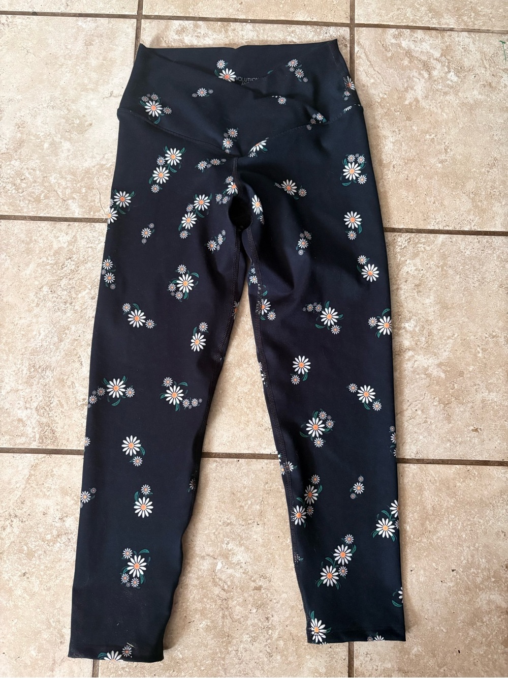 Evolution & Creation Leggings